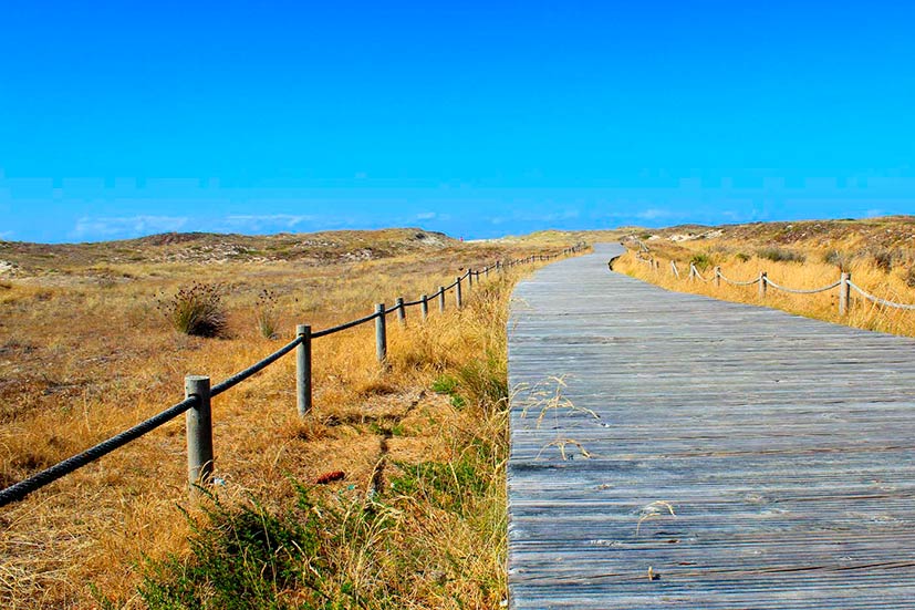 Walking along dunes in Northern Spain