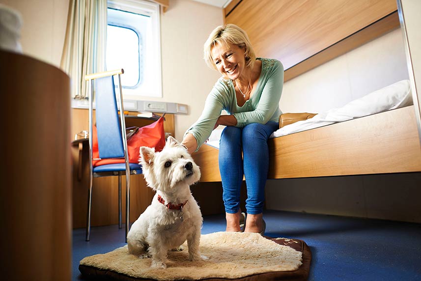 dog and female owner in pet friendly cabin credit brittany ferries