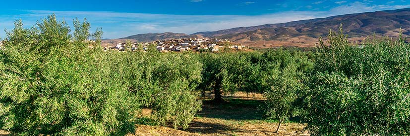 Traditional rural Spain