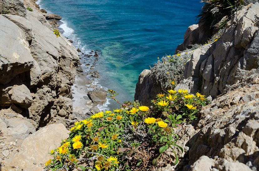 Cabo de Gata protected area