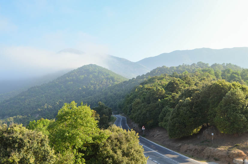 Montseny Natural Park - access road