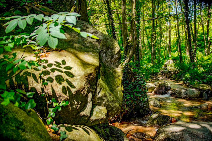 Montseny Natural Park - Water Stream
