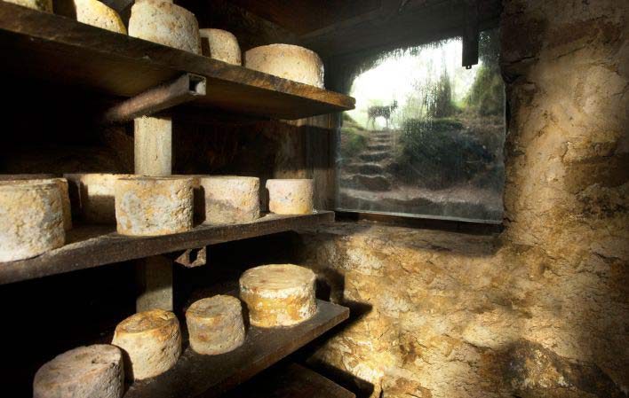 Cheese Cave Cabrales